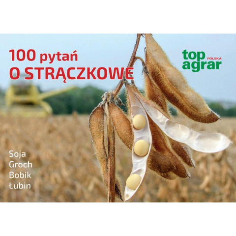 100 PYTAŃ O STRĄCZKOWE