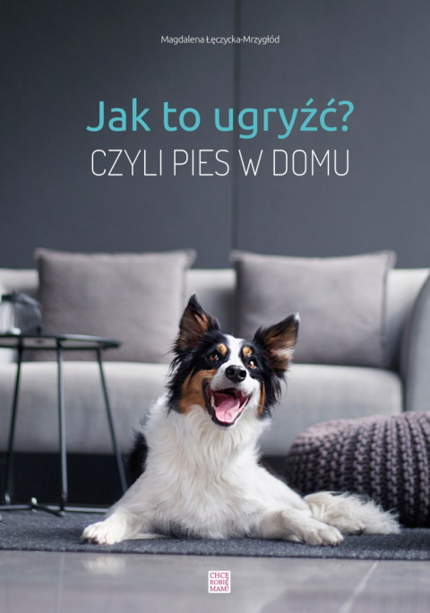 Jak to ugryźć? Czyli pies w domu.