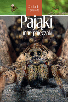 Pająki i inne pajęczaki - Spotkania z przyrodą