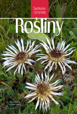 Rośliny - Spotkania z przyrodą