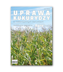 Uprawa kukurydzy - publikacja specjalna Agro Profil