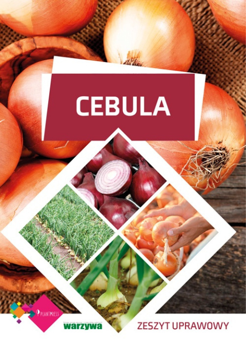 Cebula Zeszyt uprawowy