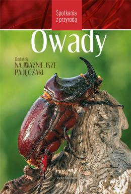 Owady - Spotkania z przyrodą