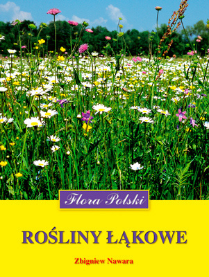 Rośliny łąkowe. Flora Polski