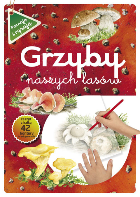 Grzyby naszych lasów (zeszyt z kalką)