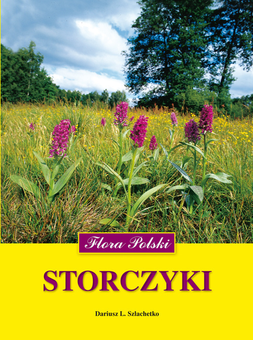 Storczyki. Flora Polski