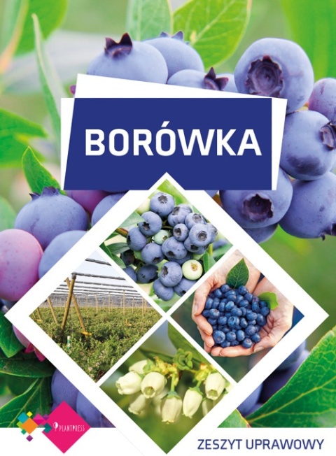 BORÓWKA zeszyt uprawowy