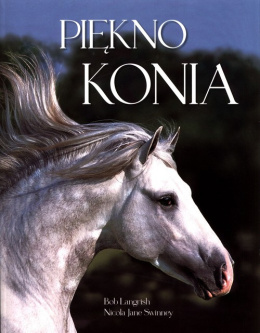 Piękno konia