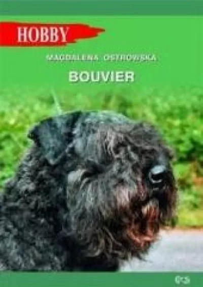 Bouvier