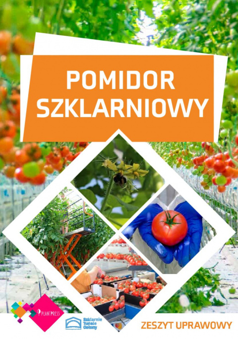 Pomidor szklarniowy – zeszyt uprawowy