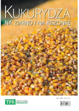 Kukurydza na ziarno i na kiszonkę