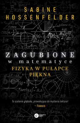 Zagubione w matematyce fizyka w pułapce piękna