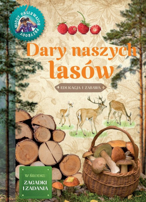 Dary naszych lasów Edukacja i zabawa