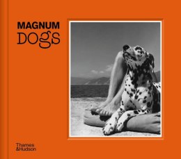 Magnum dogs wer. angielska