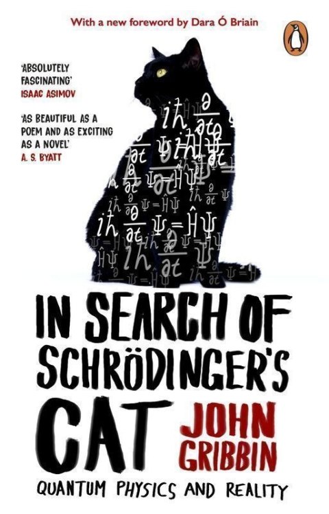 In Search Of Schrodinger's Cat wer. angielska