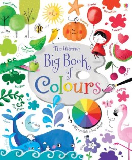Big Book of Colours wer. angielska