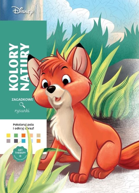 Kolory natury. Art therapy. Kolorowanka antystresowa. Disney. Zagadkowe rysunki