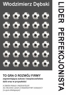 Lider perfekcjonista