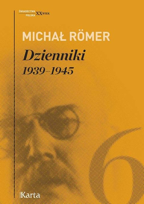 Dzienniki 1939-1945 Tom 6
