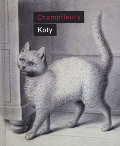 Koty. Historia, zwyczaje, obserwacje anegdoty