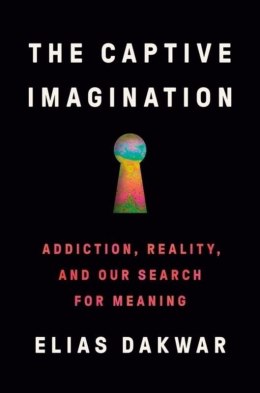 The Captive Imagination wer. angielska