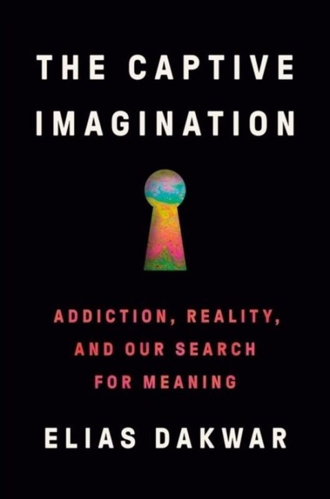 The Captive Imagination wer. angielska