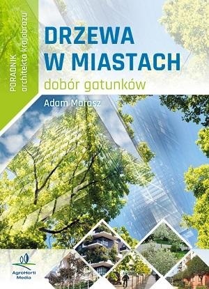 Poradnik architekta krajobrazu – Drzewa w miastach