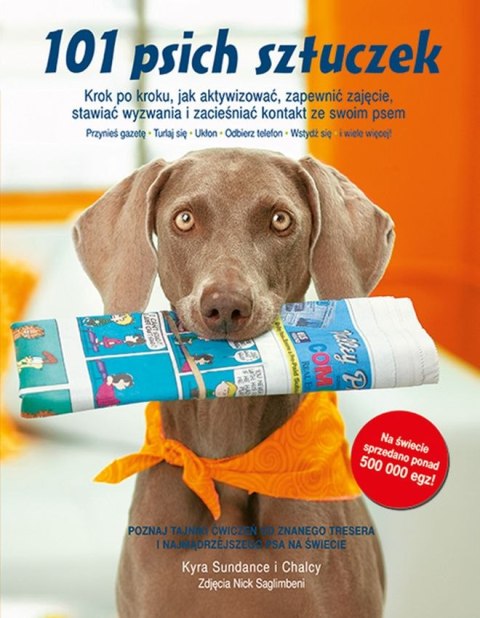 101 psich sztuczek