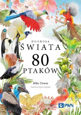 80 ptaków. Dookoła świata