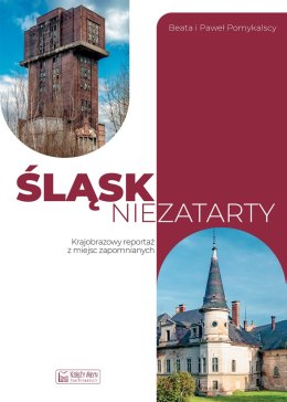 Śląsk niezatarty. Krajobrazowy reportaż z miejsc zapomnianych