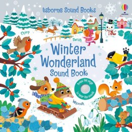 Winter Wonderland Sound Book wer. angielska
