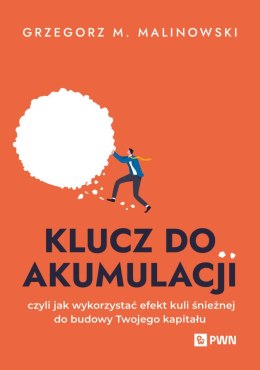 Klucz do akumulacji. czyli jak wykorzystać efekt kuli śnieżnej do budowy Twojego kapitału