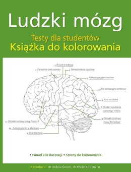 Ludzki mózg. Testy dla studentów. Książka do kolorowania
