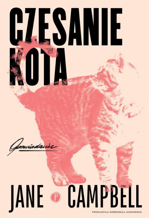 Czesanie kota