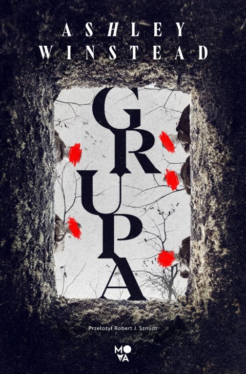 Grupa