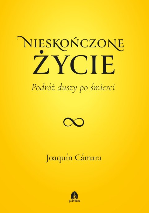 Nieskończone życie. Podróż duszy po śmierci. Życie po życiu. Tom 1