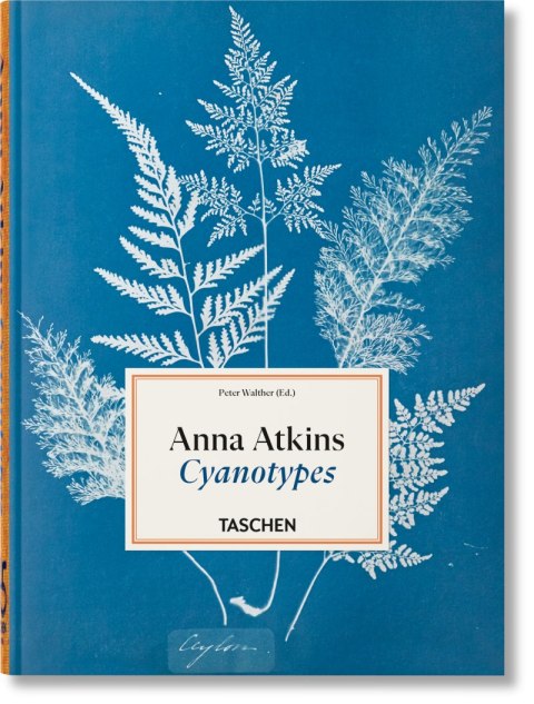 Anna Atkins. Cyanotypes