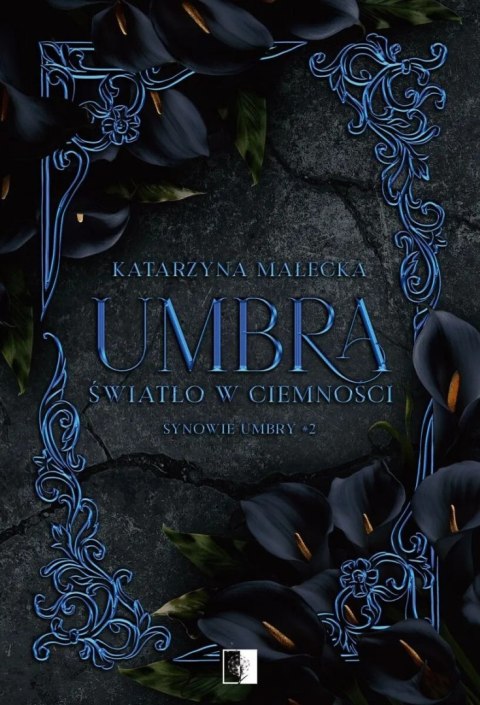 Umbra. Światło w ciemności. Synowie Umbry. Tom 2