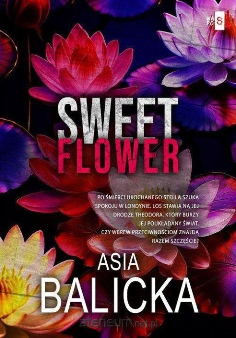 Sweet Flower