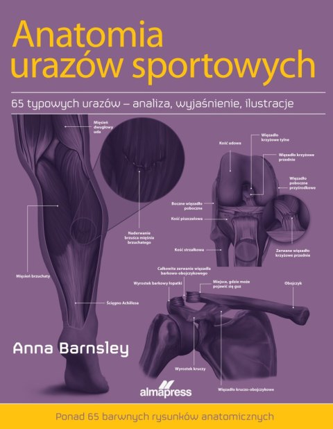 Anatomia urazów sportowych wyd. 2