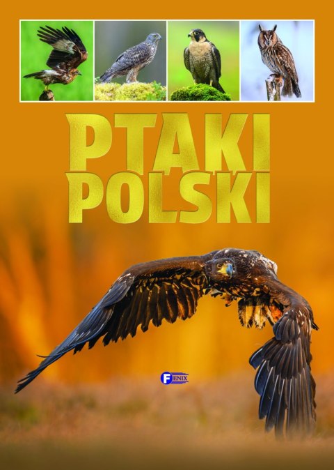 Ptaki Polski