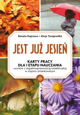 Jest już jesień